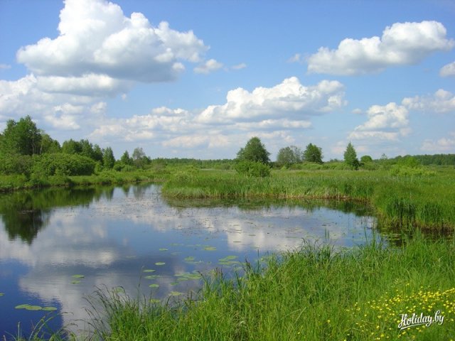 Небольшое озеро в северной части заповедника