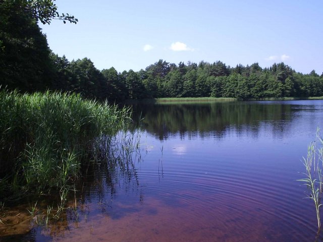 Озеро Милашковское