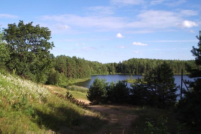 Озеро Кобылинское
