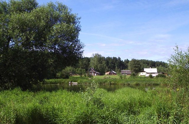 Река Свольна в летний полдень