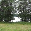 Пасмурный день на Милашковском озере