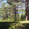 Высокий берег озера Люсинец